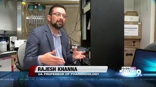 university of arizona team testing non opioid drugs to treat chronic pain