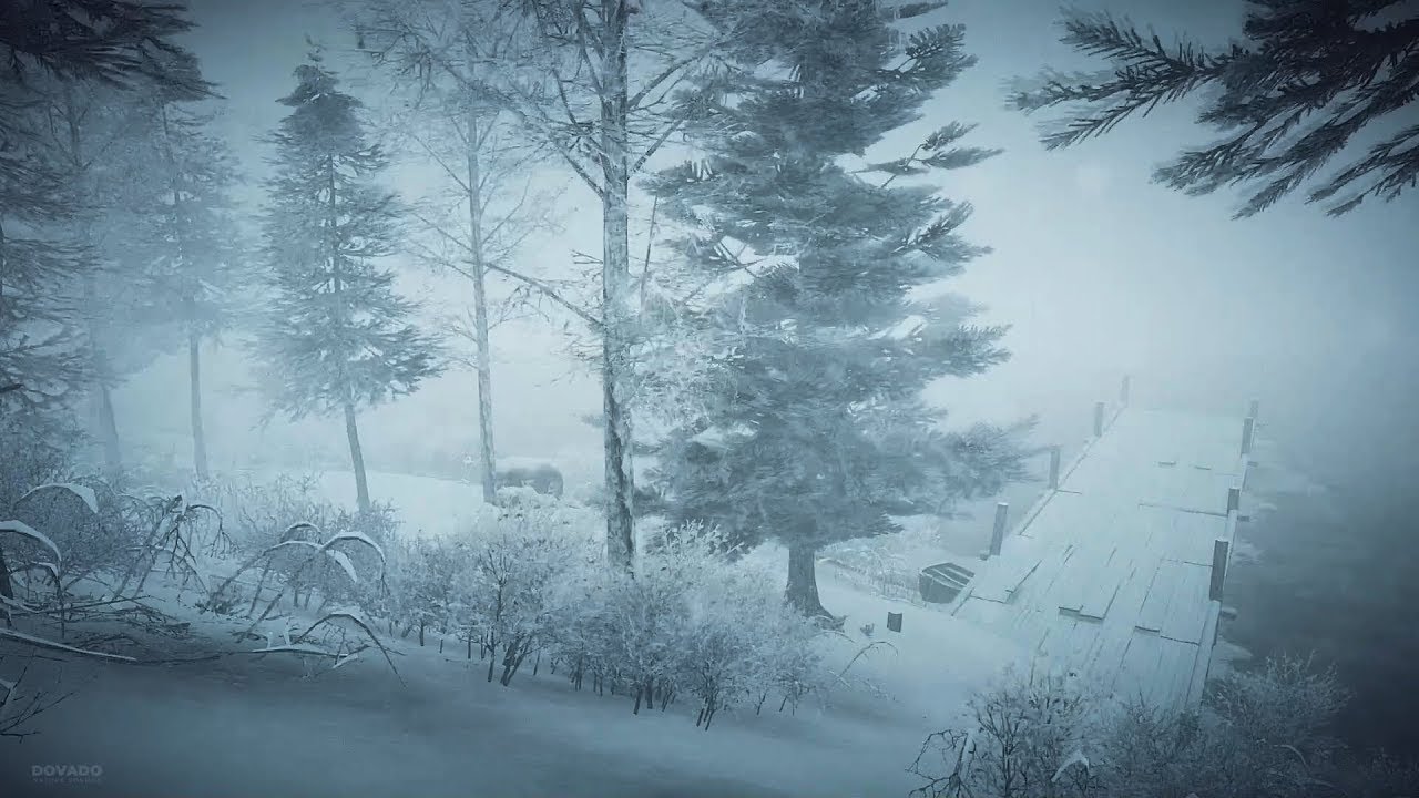 1 Hour Winter Storm at the Lake┇Howling Wind & Blowing Snow ┇Sounds for ...
