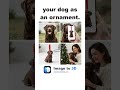 i printed every dog in the family as a christmas ornament. mom cried, dad pretended he