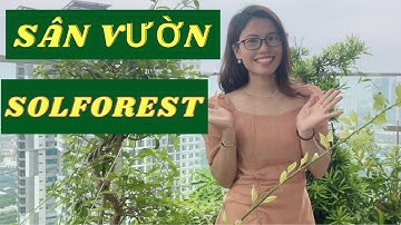 Thực tế căn hộ đặc biệt nhất Solforest Ecopark - 3pn sân vườn!