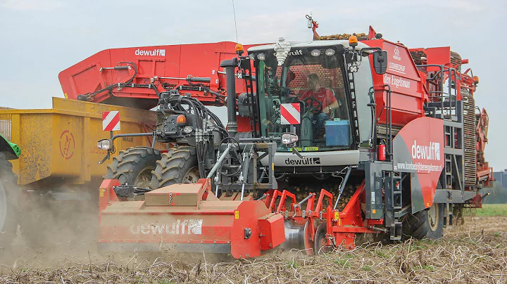 New Dewulf Ra3060 in action! Potato harvest | Kart...