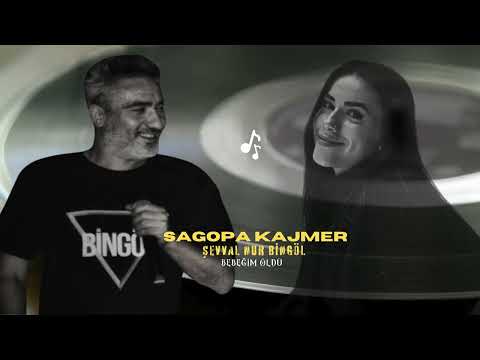 Bebeğim Öldü - Şevval Nur Bingöl & Sagopa Kajmer (ft. Ahrimanmusic)