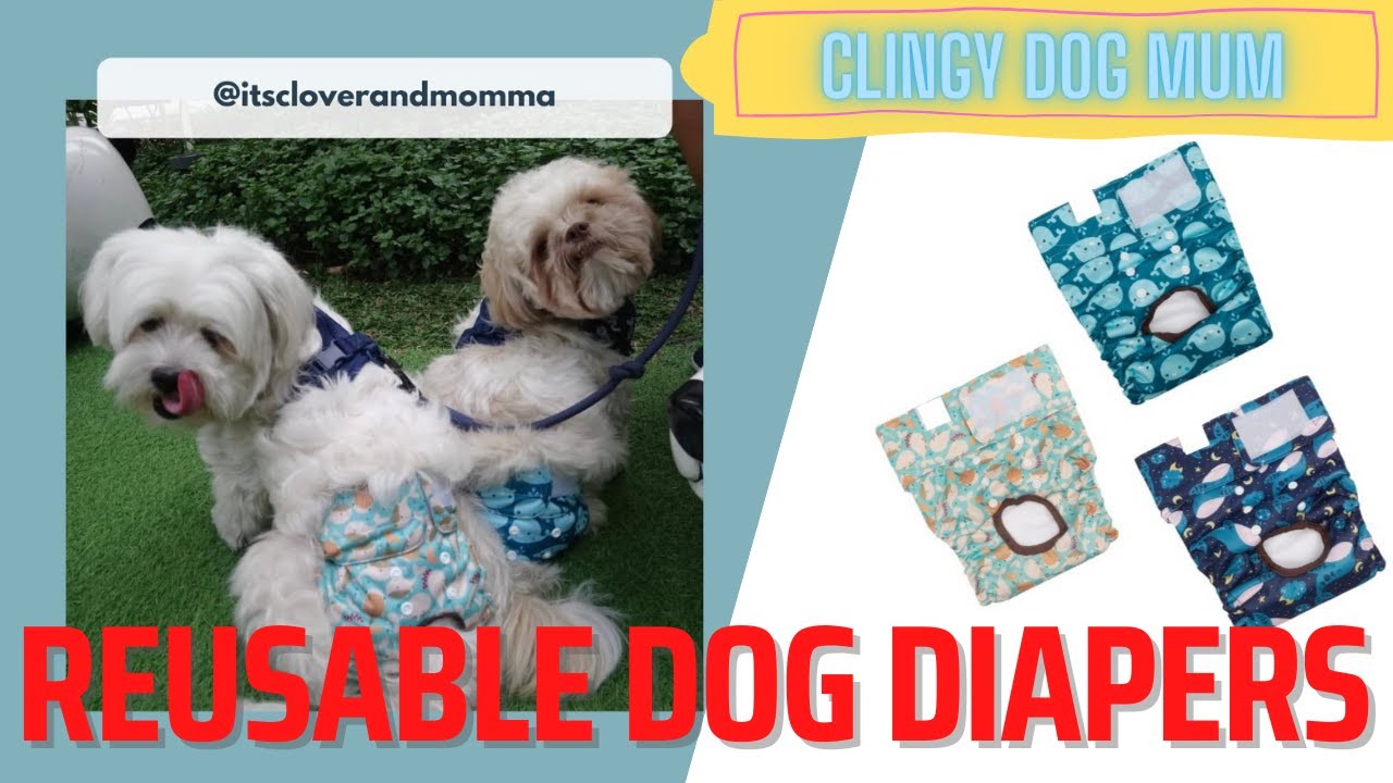 Reusable Dog Diapers by Furri Buddies & Visiting Pocofino Cafe BGC with