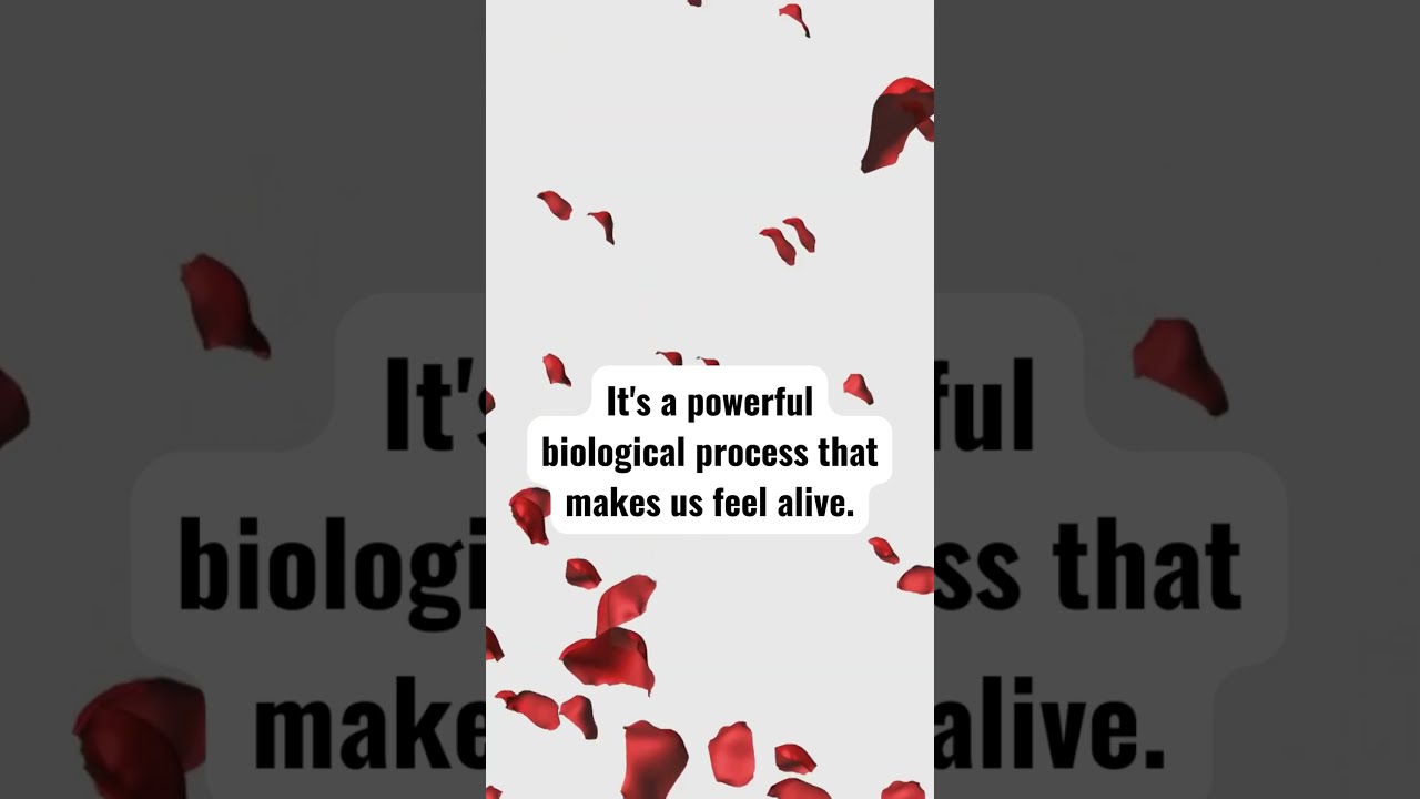 The Science of Love: How Falling in Love Lights Up Your Brain?