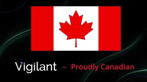 Vigilant - Meet the Team