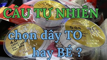 Câu đơn đài tự nhiên , chọn dây phù hợp cho người mới