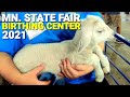 Mn state fair 2021  miracle of birth birthing center