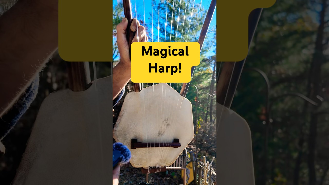 Wind played Magical Harp! Winter Magic! ☃️❄️🎶