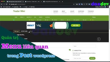 Hướng dẫn quản lý menu liên quan cho bài viết wordpress|dandev