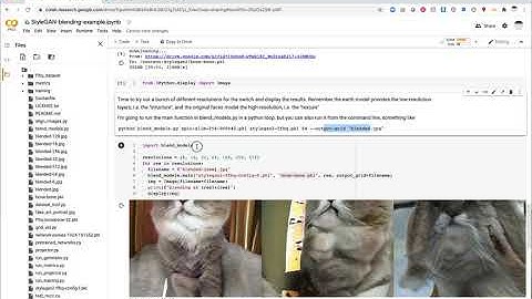 How to Make More Creepy Faces with StyleGAN2 (Network Blending notebook)
