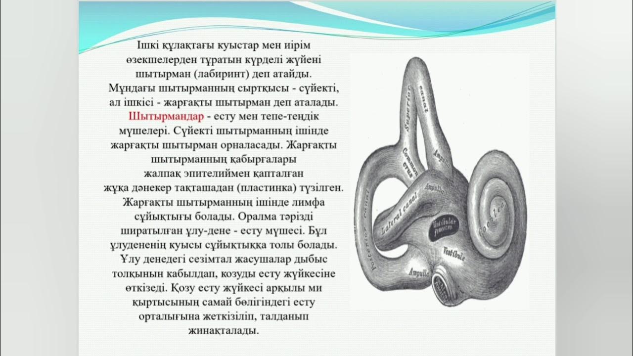 Есту места. Есту места
