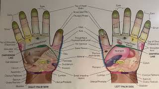 What are the 2 Best Hand Reflexes to Reduce Stress and Fear - Reflexology