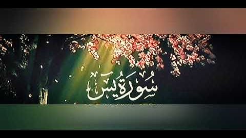 أحمد خضر سورة يس + سورة الرحمن + سورة الواقعة + سورة الملك