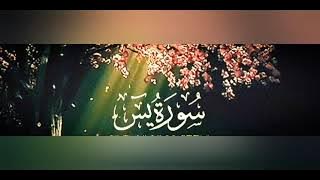 أحمد خضر سورة يس سورة الرحمن سورة الواقعة سورة الملك