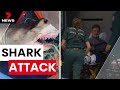 Great white shark turns on teenage boy fishing off glenelg  7 news australia