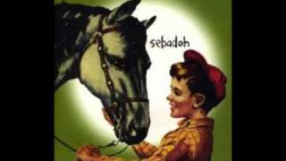 Video thumbnail of "Sebadoh - Riding [Palace Brothers cover]"