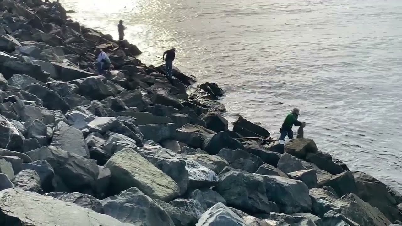 Sunday Fishing Mackay Harbours