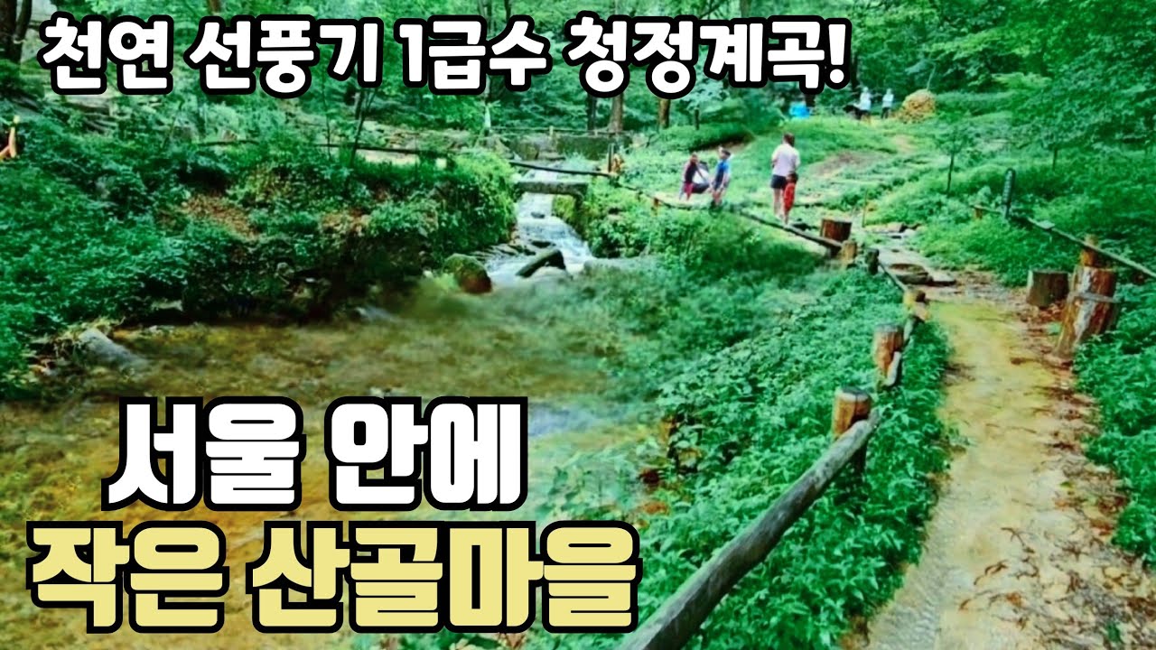 🌴 요즘 무더위에 시원하게 걷기좋은 산골 마을 길 🌴 나만 알고 싶은 1급수 도랑길   Seoul Trail is the best!