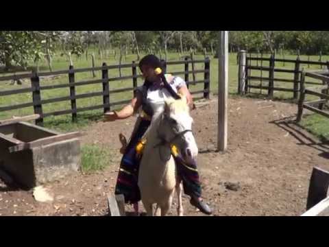 SOY DE TABASCO (La choca Kasiana)