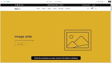 Header Customization | Mavon