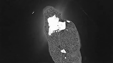 $uicideboy~antarctica (Haze Intro Song)