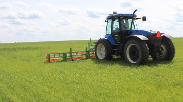 Combcut in wheat field