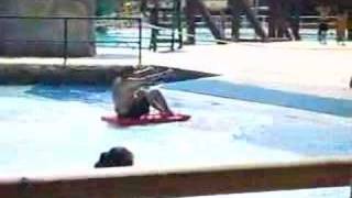 Aquopolis water park