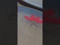 Hand painted organza dupatta design tutorial ||Floral design Idea
