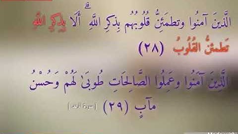 القارئ محمد السامرائي .. ماتيسر من سورة الرعد