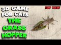 3d game for cats  catch the grasshopper top view  4k 60 fps stereo sound