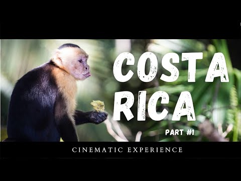 Βίντεο: Playa Montezuma Beach Κόστα Ρίκα