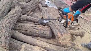 Cutting wood with a chainsaw.