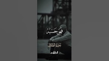وَمَن يَتَّقِ اللَّهَ يَجْعَل لَّهُ مَخْرَجًا الشيخ محمد محمود الطبلاوي سورةالطلاق #اكسبلور #لايك