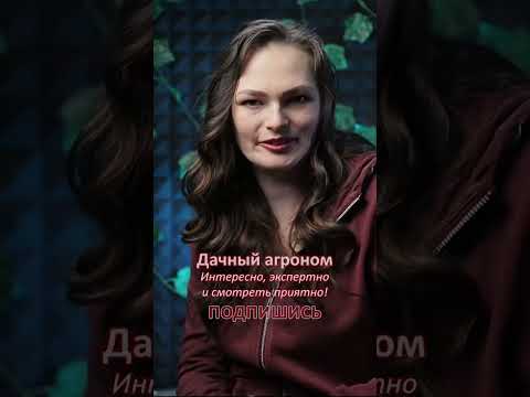 ЭТО ПОМОЖЕТ от