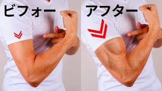 腕を太く強くするための6つのシンプルエクササイズ