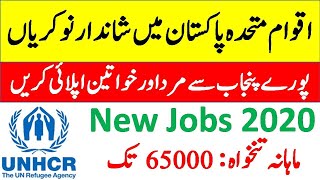 New Jobs 2020 | Jobs in Punjab 2020 | UNHCR Jobs 2020