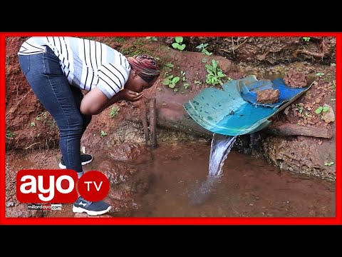 Video: Maji Ya Orontium