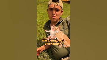 Naur (An Australian Lament)