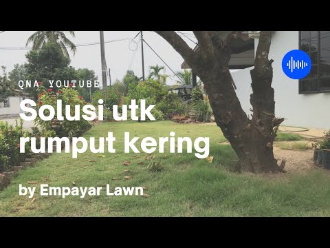 Video: Bila hendak menyemai padang rumput yang berlebihan?