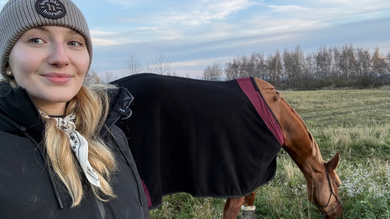 Hej, poznajcie Zilandro!