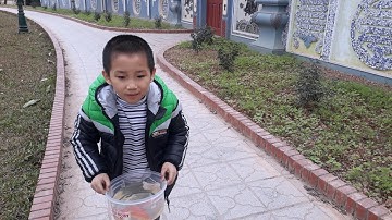 Trung Tyt đi phóng sinh thả cá chép ngày tết ông Công ông Táo,23 tháng chạp theo phong tục cổ truyền