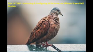 Part 14 CH04 - Connecting &amp; Configuring VCSA Server via VMware.PowerShell Module.