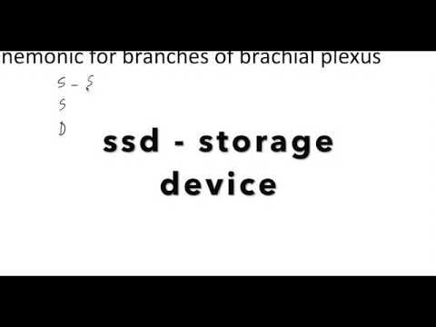 brachial plexus br  mnemonics