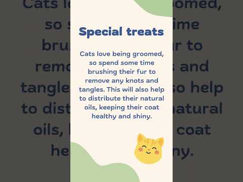 Video: 3 Ways to Get Rid of Stray Cats