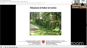 Quali sono le minacce alle foreste oggi?