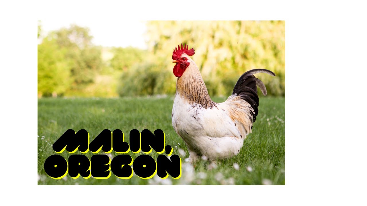 A 2 minute tour of Malin, Oregon YouTube