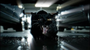 AI Cat-themed Music Video | nekoful - Nine lives