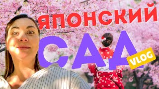 САМЫЙ БОЛЬШОЙ ЯПОНСКИЙ САД В ЕВРОПЕ?ЦВЕТУЩАЯ САКУРА / 12.04.2025 #жизньвевропе #vlog #обзор