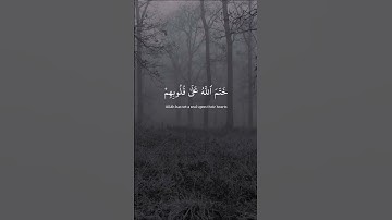 تلاوة رائعة ، أرح مسمكك و اترك تعليق تؤجر عليه #راحة_نفسية #لايك #اكسبلور