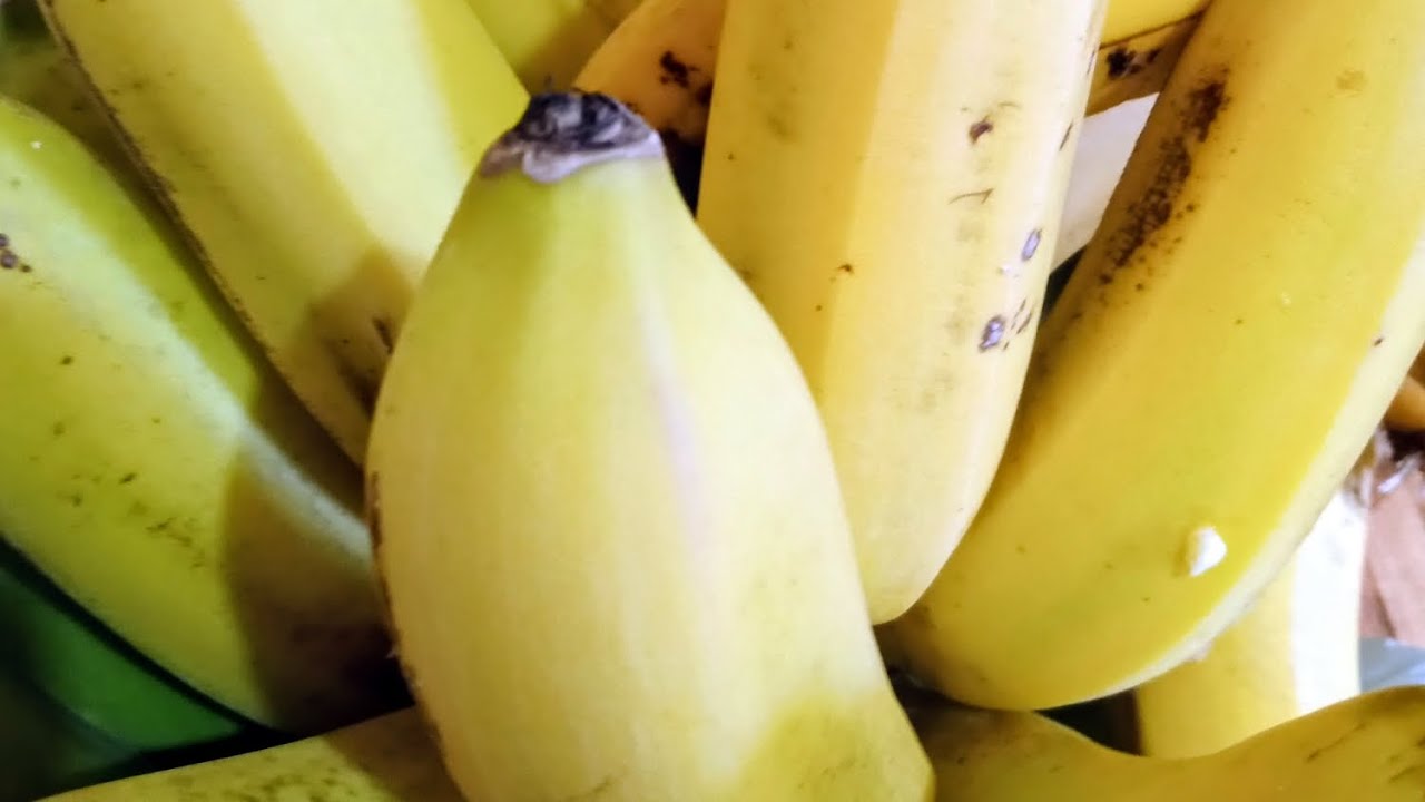 Hoje o dia foi colher frutas na chácara  😃😃😃😃😃